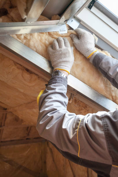 Best Blown-in Insulation in Bridgeport, TX