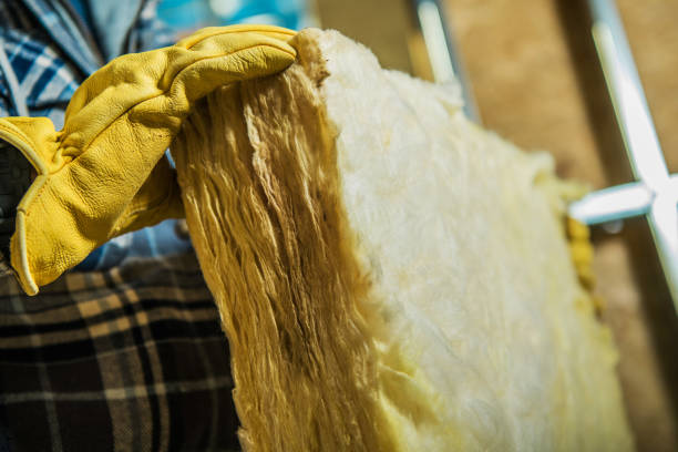 Best Commercial Insulation in Bridgeport, TX